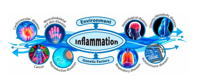 inflamattion-image-2.jpg